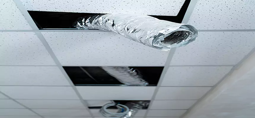 Affordable HVAC Sanitizing After Pest Removal in Cloverly