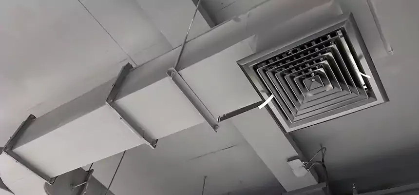 Restorative Allergy Relief Vent Cleaning – Coil, Blower & Housing Detail in Cloverly