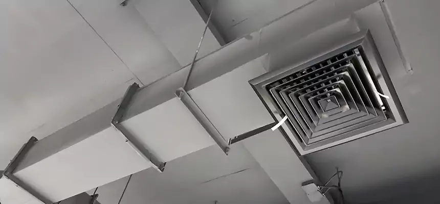 Our Rodent Droppings In Vents Services in Cloverly, MD