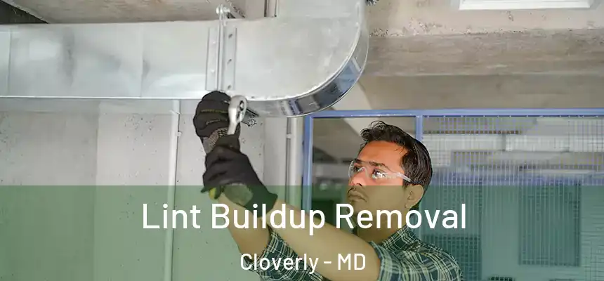  Lint Buildup Removal Cloverly - MD