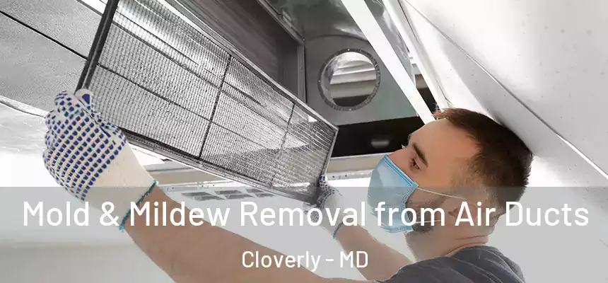  Mold & Mildew Removal from Air Ducts Cloverly - MD