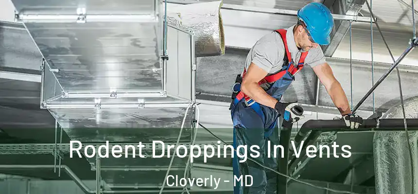  Rodent Droppings In Vents Cloverly - MD