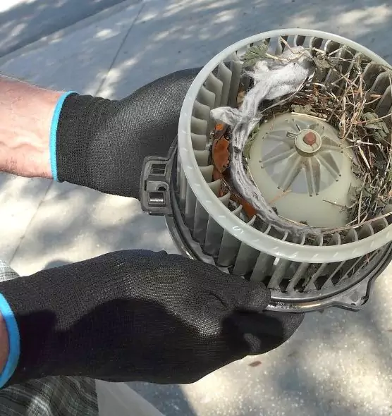 About Air Duct Mice Removal in Cloverly, MD