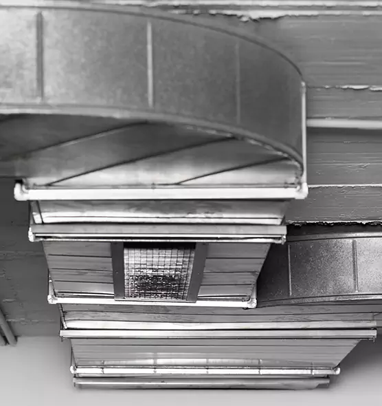 Professional Air Duct Pet Hair Removal in Cloverly, MD