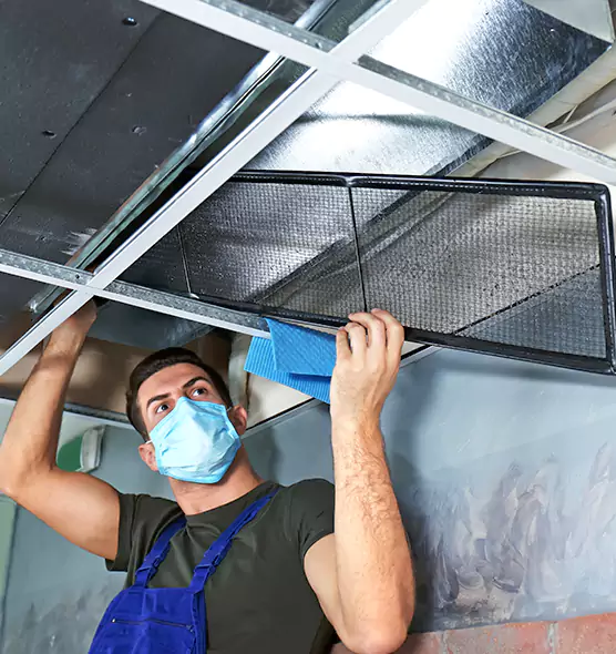 Professional Air Duct Pollen Cleaning in Cloverly, MD