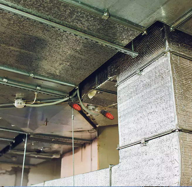 Why Homeowners & Businesses Trust Us Cloverly, MD?